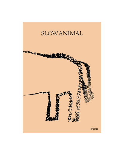 STUDY 00 / SLOW ANIMAL - 01