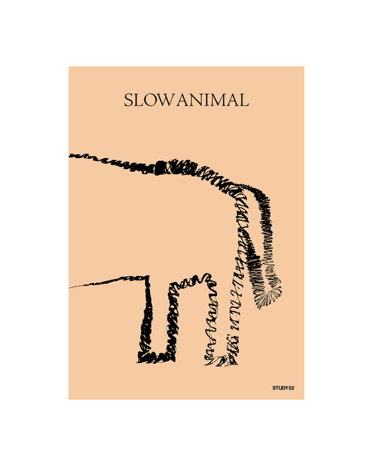 STUDY 00 / SLOW ANIMAL - 01